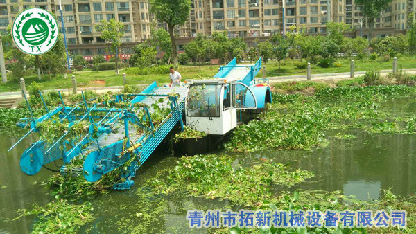 浒苔、海藻打捞船